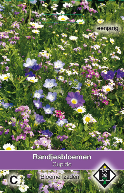 Cupido 'randjesbloemen' Randjesbloemen