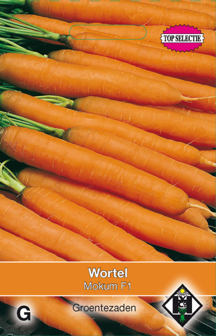 Daucus carota 'Mokum F1' Wortel