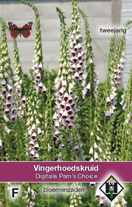 Digitalis purpurea 'Pam's Choice' Vingerhoedskruid 'Pam 's Choice'