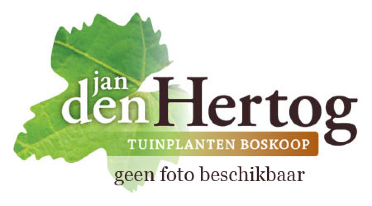 Prijsopgave maken of Offerte