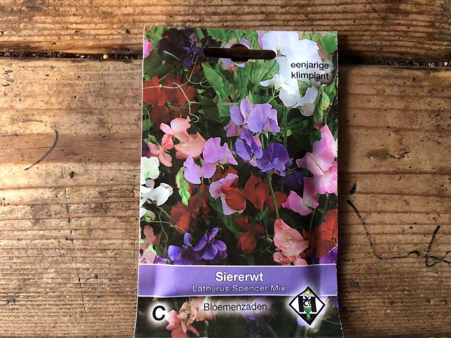 Lathyrus odoratus 'Spencer Mix' Siererwt