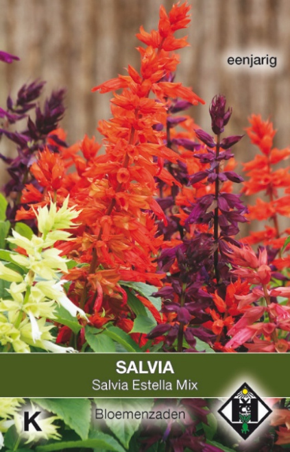 Salvia Estella Mix Siersalie
