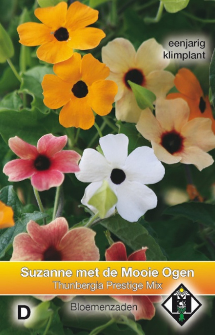 Thunbergia alata Prestige Mix Suzanne met de Mooie Ogen