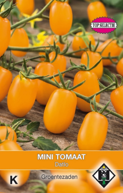 Mini Tomaat Datlo Oranje Mini Tomaat