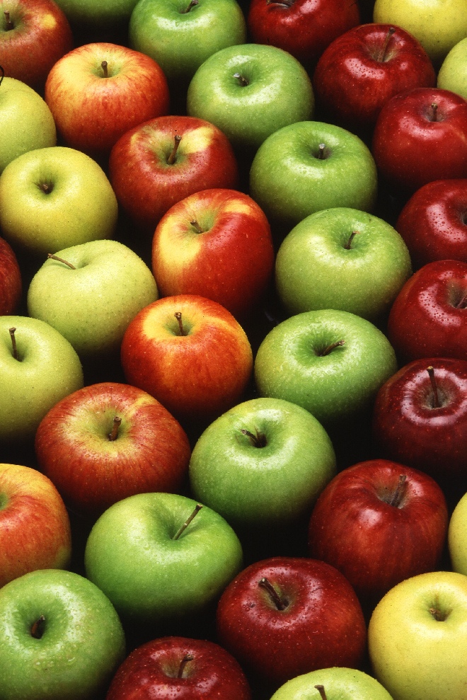Malus domestica 'Jonagored' Appel 'Jonagored'