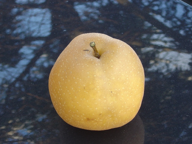 Pyrus pyrifolia 'Hosui' Nashipeer