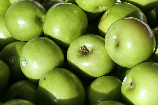 Malus domestica 'Granny Smith' Appel Granny Smith