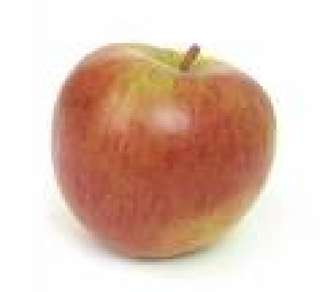 Malus domestica 'Sweet Caroline' Appel 'Sweet Caroline'