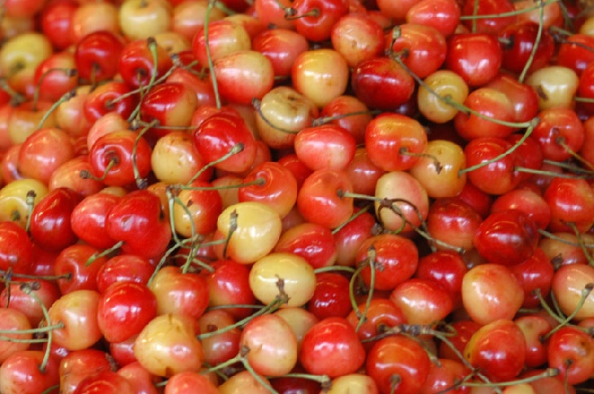 Prunus avium 'Udense Spaanse' (LEIVORM) Kers 'Udense Spaanse'