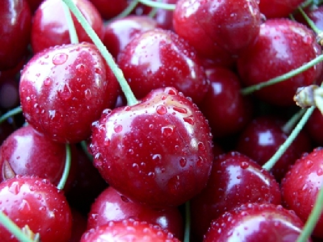Prunus avium 'Wijnkers' (LEIVORM) Kers 'Wijnkers'