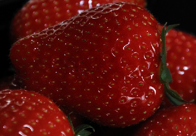 Fragaria ananassa 'Darselect' Aardbei Darselect