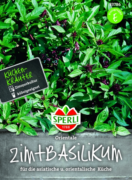 Ocimum basilicum 'Cinamonette' Kaneelbasilicum