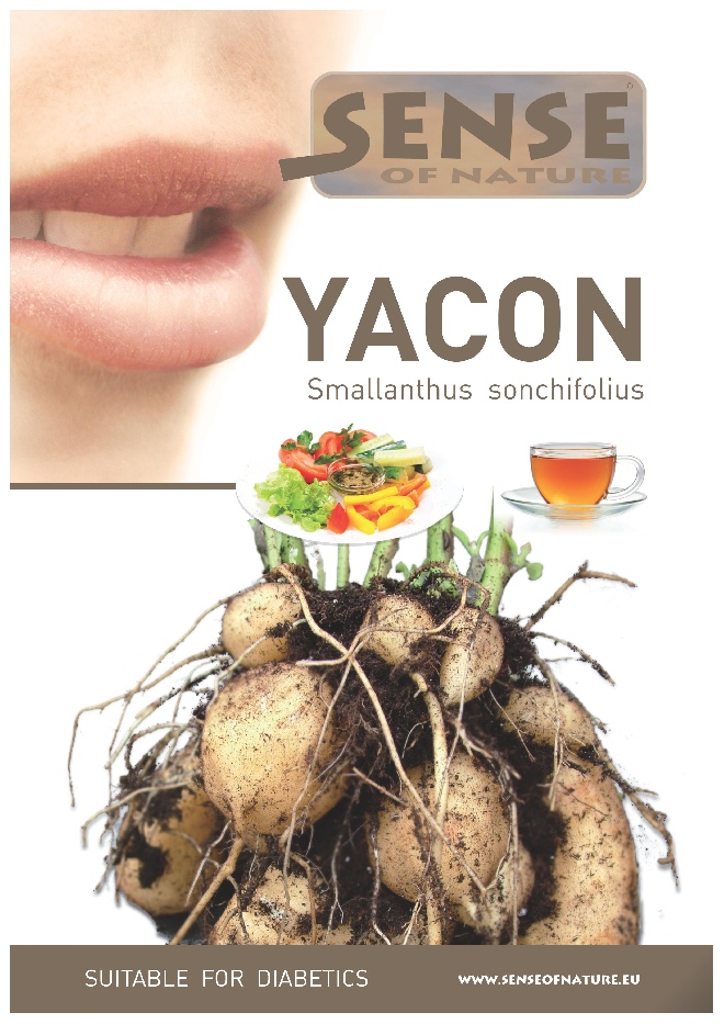 Polymnia sonchifolia Yacon, Grondappel