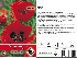 Papaver orientale 'Brilliant' Oosterse Klaproos