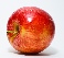 Malus domestica 'Glorie van Holland' appel 'Glorie van Holland'